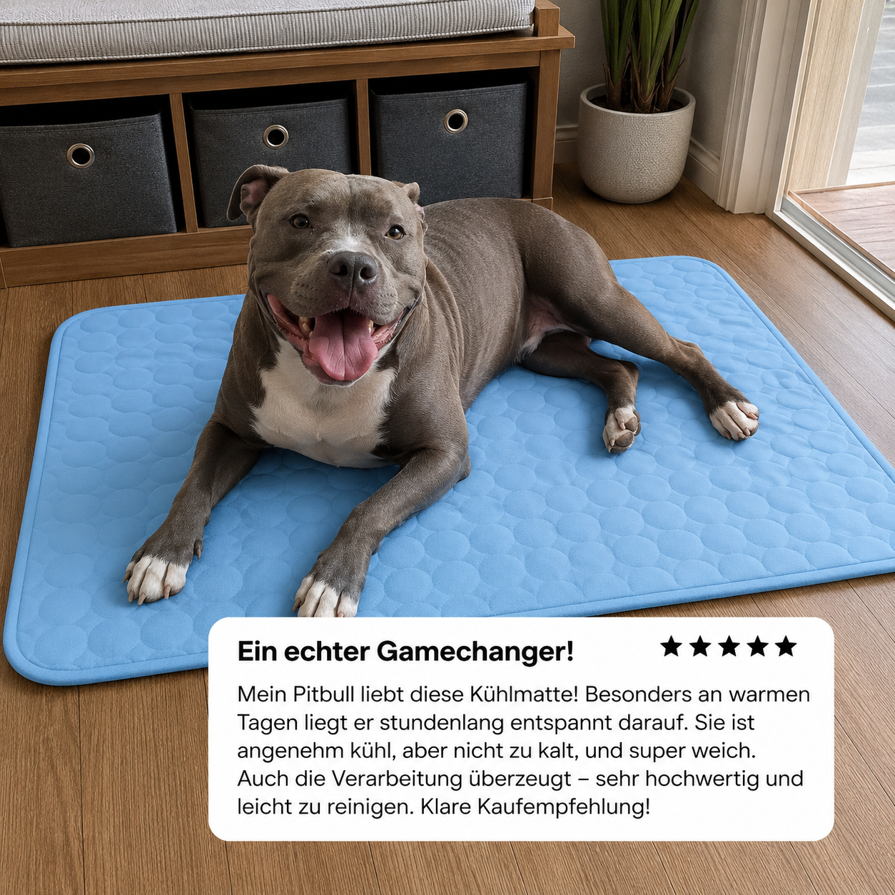 FrostPaw - Für den Sommer ohne schlechtes Gewissen.