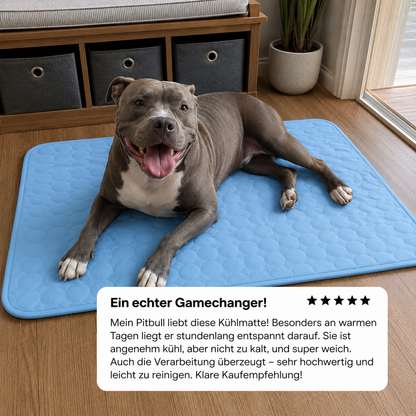 FrostPaw - Für den Sommer ohne schlechtes Gewissen.