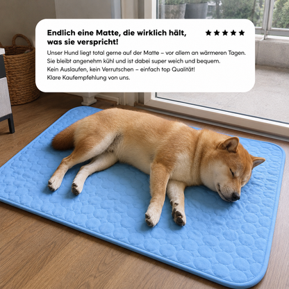 FrostPaw - Für den Sommer ohne schlechtes Gewissen.