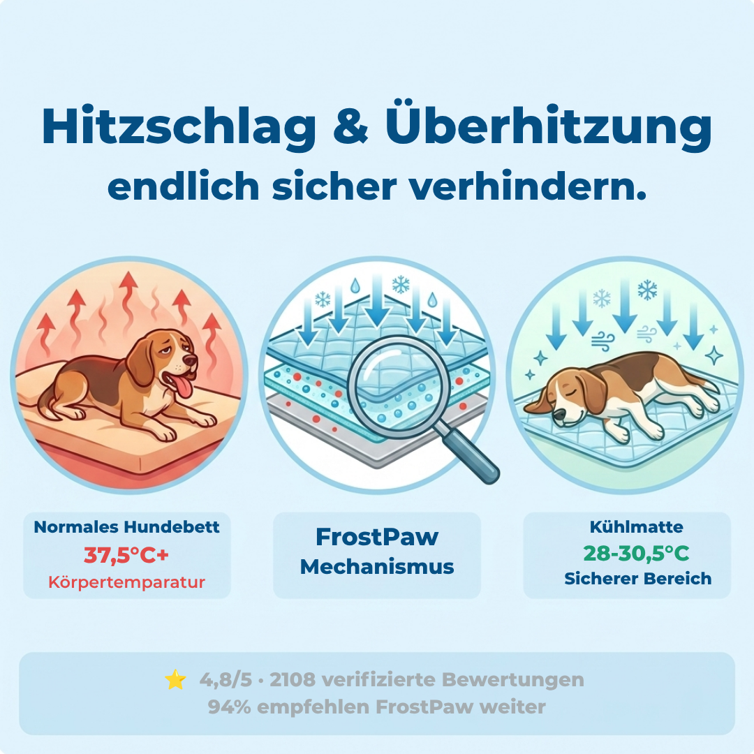 FrostPaw - Für den Sommer ohne schlechtes Gewissen.